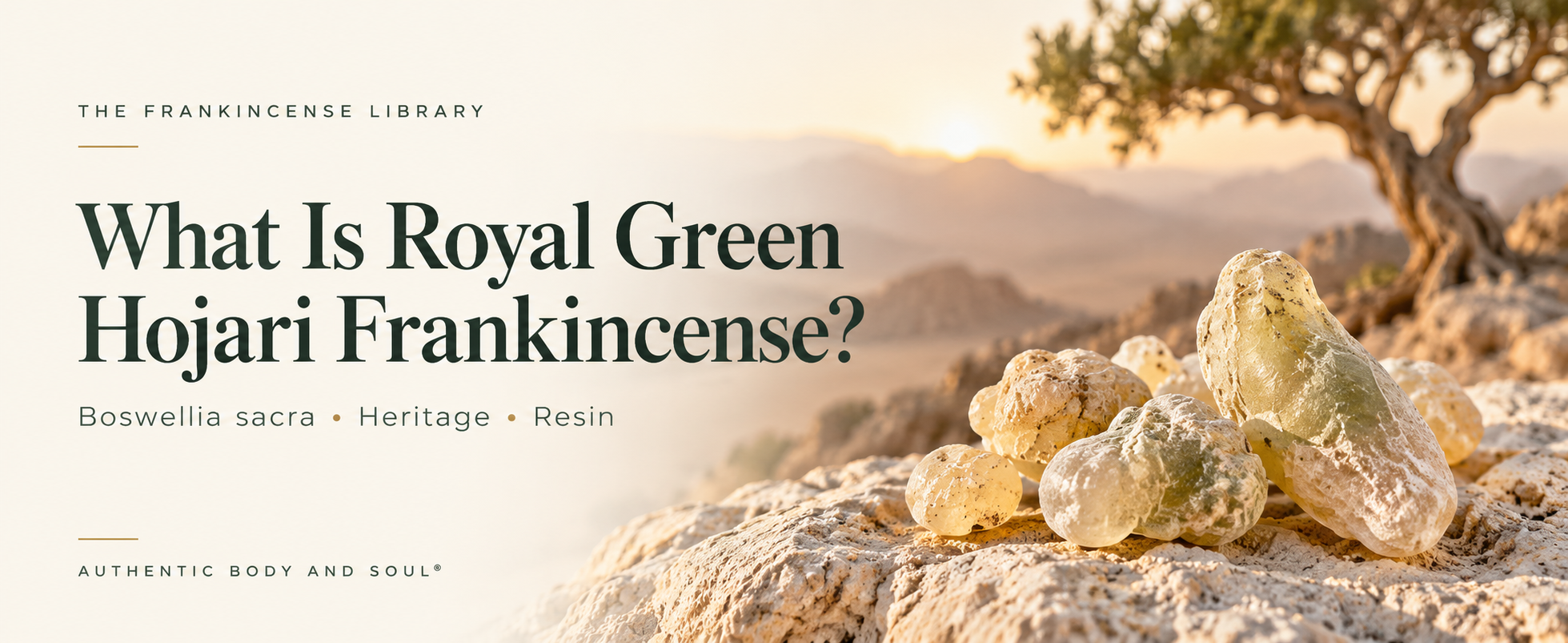 What Is Royal Green Hojari Frankincense?