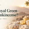What Is Royal Green Hojari Frankincense?