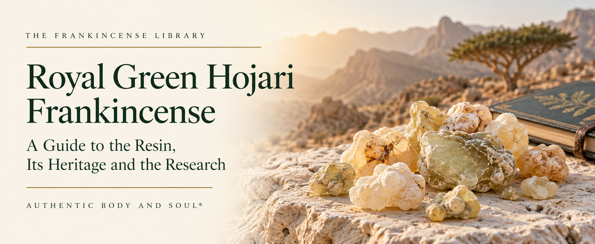 Royal Green Hojari Frankincense: A Guide to the Resin, Its Heritage and the Research