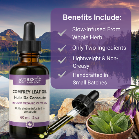 Comfrey Oil – Slow-Infused Organic Olive Oil