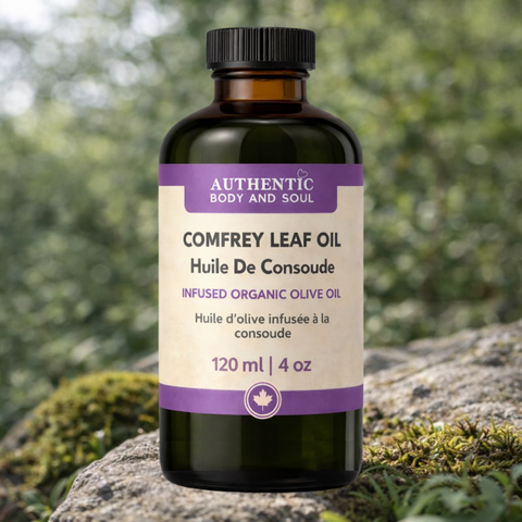 Comfrey Oil – Slow-Infused Organic Olive Oil