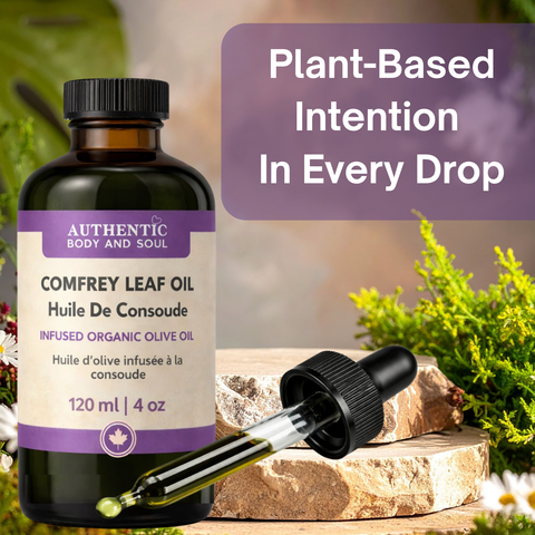 Comfrey Oil – Slow-Infused Organic Olive Oil