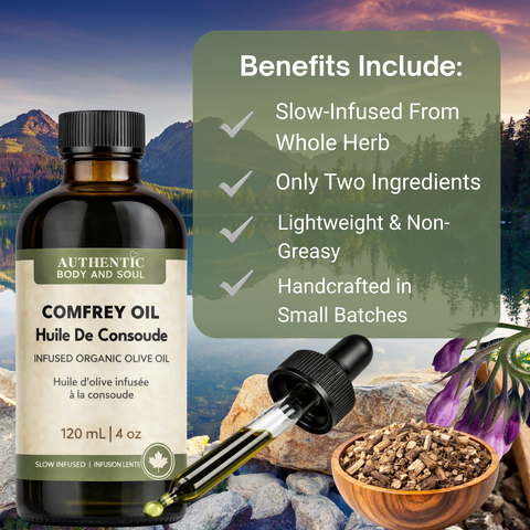 Comfrey Oil – Slow-Infused Organic Olive Oil