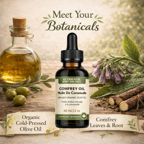 Comfrey Oil – Slow-Infused Organic Olive Oil