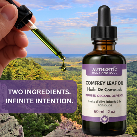 Comfrey Oil – Slow-Infused Organic Olive Oil